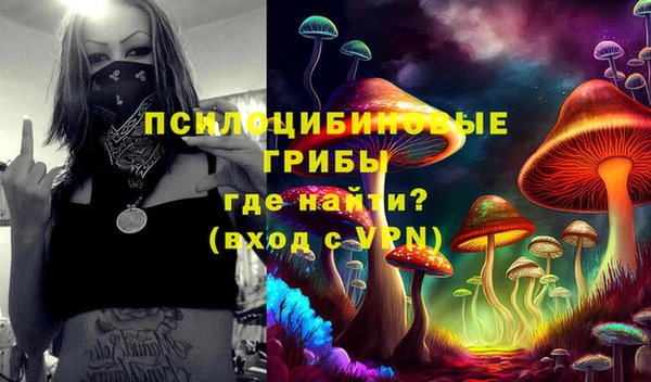 а пвп мука Алзамай