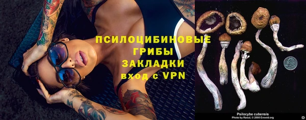 а пвп мука Алзамай