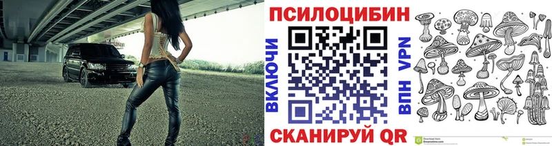 Галлюциногенные грибы мицелий  наркошоп  Цимлянск 