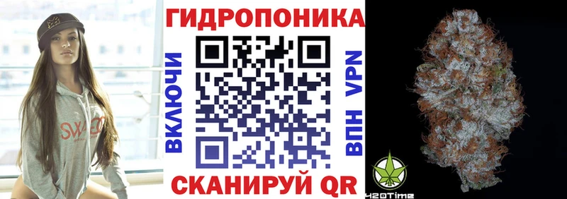 как найти   mega tor  Бошки Шишки White Widow  Цимлянск 